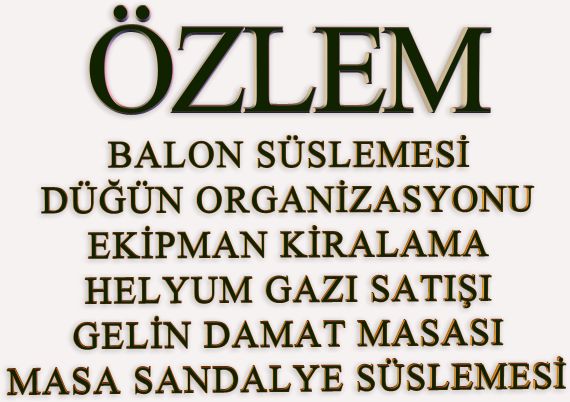 özlem organizasyon